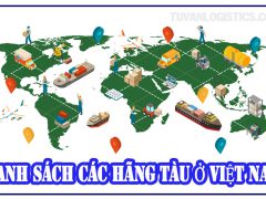 Danh Sách Các Hãng Tàu Ở Việt Nam